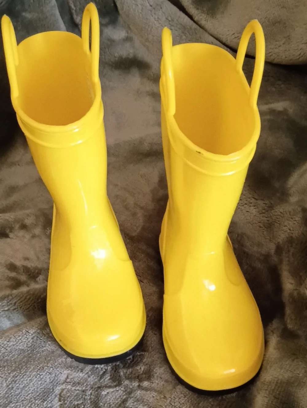 Falls Creek bold yellow